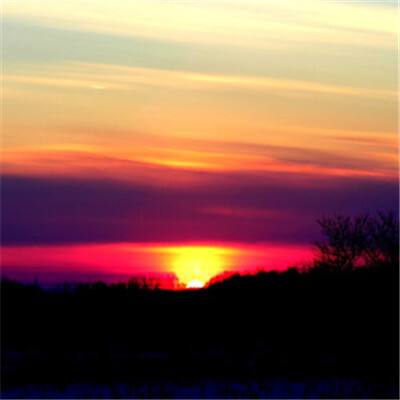 乐鱼官方APP截图