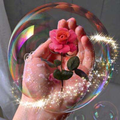 押注篮球的appapp下载